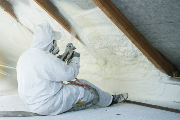 Best Radiant Barrier Insulation in Lyman, WY